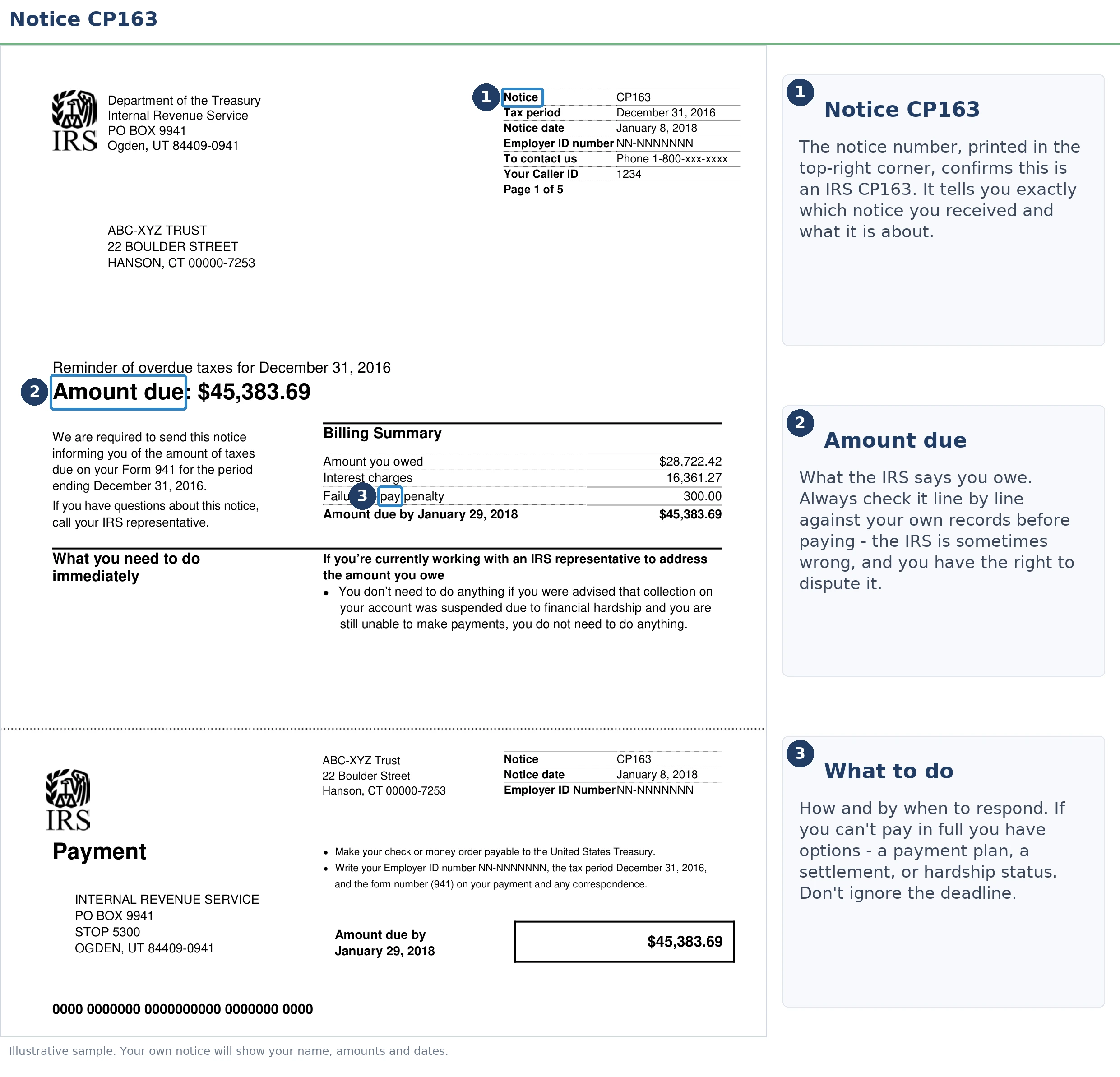 An exact sample of the IRS CP163 notice with the key parts highlighted.