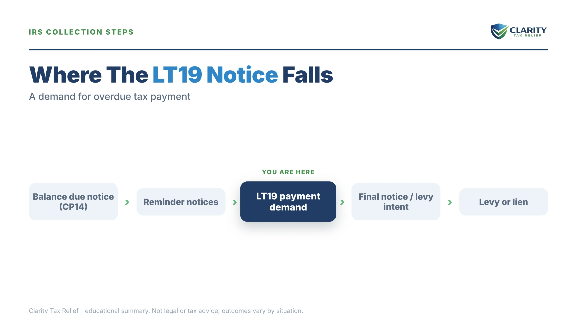 Infographic: key facts and deadlines for the IRS LT19 notice.